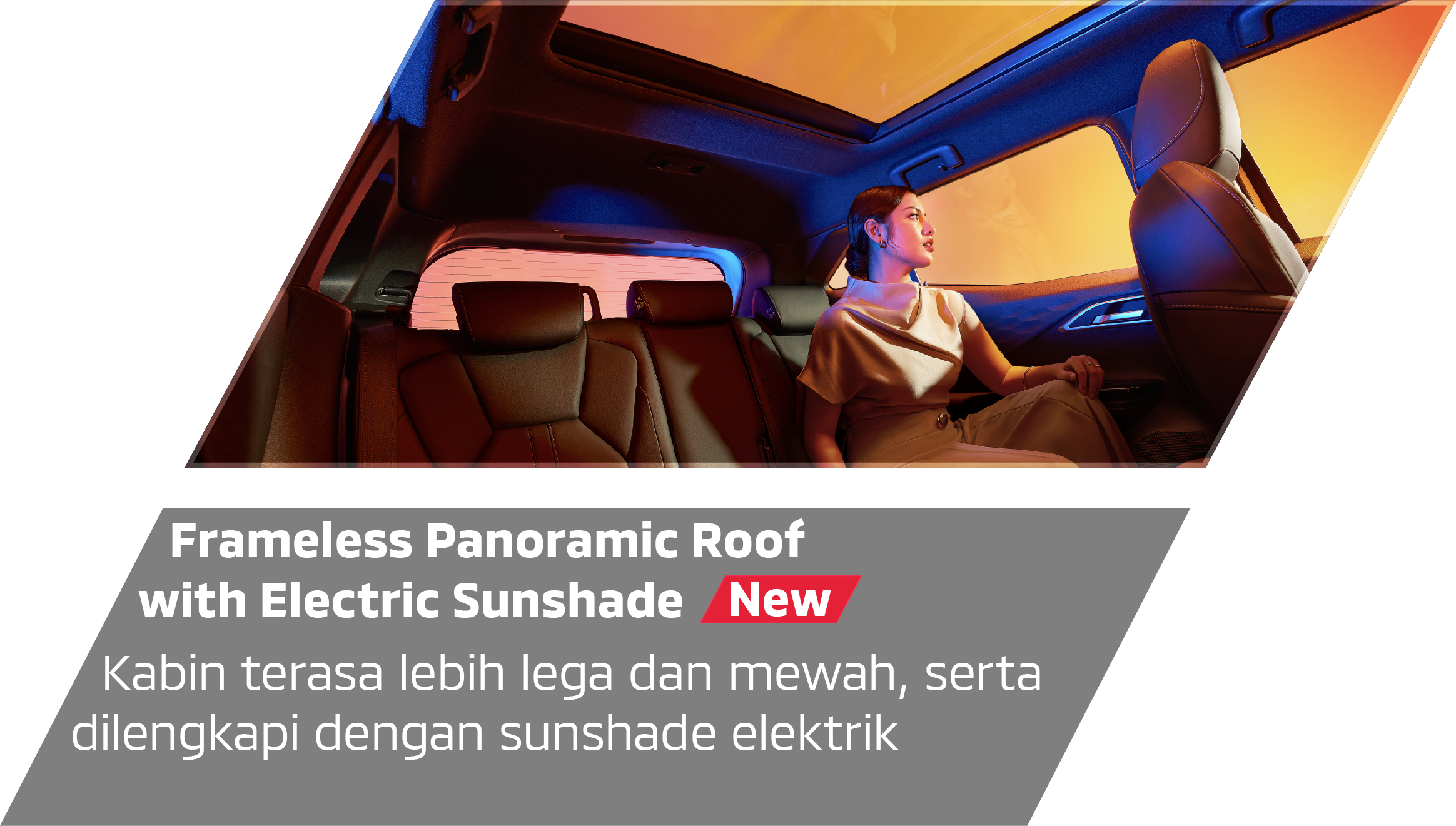 EV Priority & Charge Mode